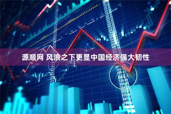 源顺网 风浪之下更显中国经济强大韧性