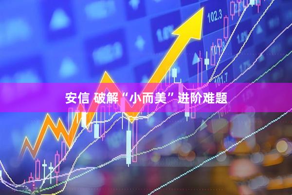 安信 破解“小而美”进阶难题