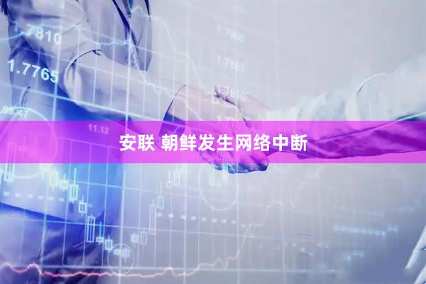 安联 朝鲜发生网络中断