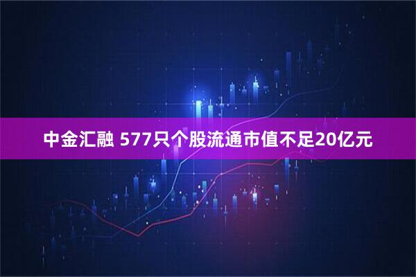 中金汇融 577只个股流通市值不足20亿元