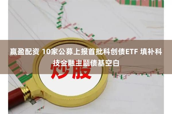 赢盈配资 10家公募上报首批科创债ETF 填补科技金融主题债基空白