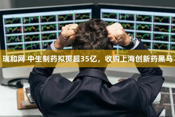 瑞和网 中生制药拟掷超35亿，收购上海创新药黑马