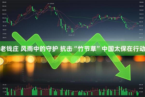 老钱庄 风雨中的守护 抗击“竹节草”中国太保在行动