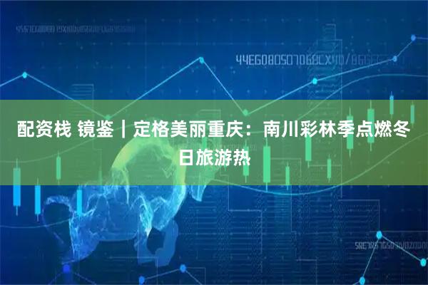 配资栈 镜鉴｜定格美丽重庆：南川彩林季点燃冬日旅游热