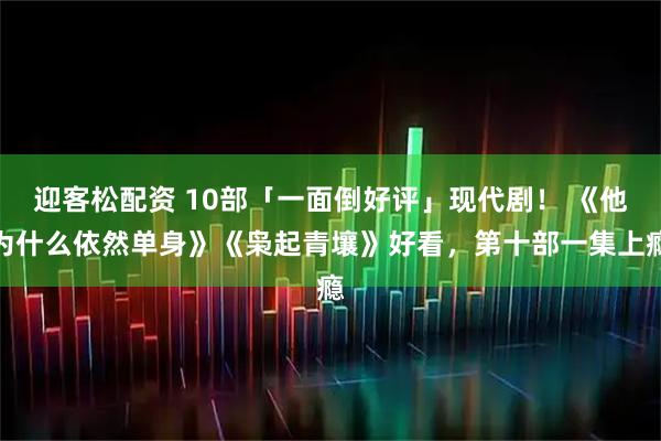 迎客松配资 10部「一面倒好评」现代剧！ 《他为什么依然单身》《枭起青壤》好看，第十部一集上瘾