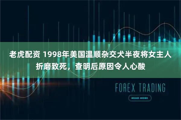 老虎配资 1998年美国温顺杂交犬半夜将女主人折磨致死，查明后原因令人心酸