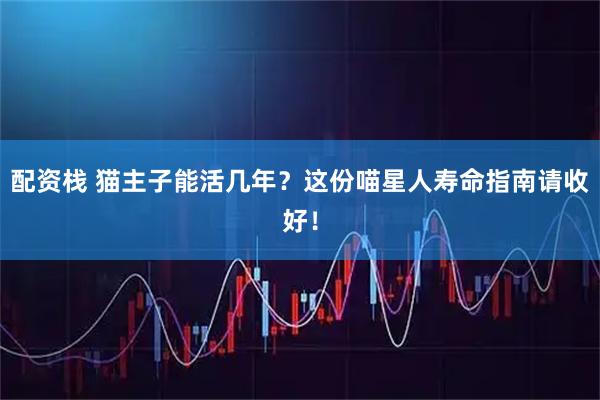 配资栈 猫主子能活几年？这份喵星人寿命指南请收好！