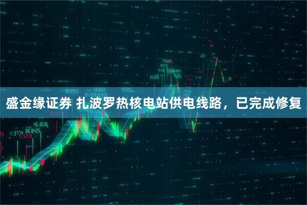 盛金缘证券 扎波罗热核电站供电线路，已完成修复