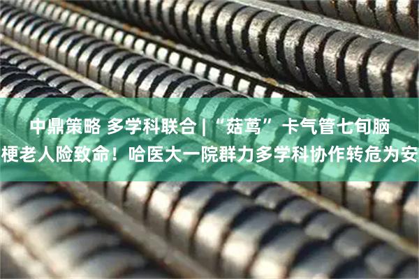 中鼎策略 多学科联合 | “菇茑” 卡气管七旬脑梗老人险致命！哈医大一院群力多学科协作转危为安