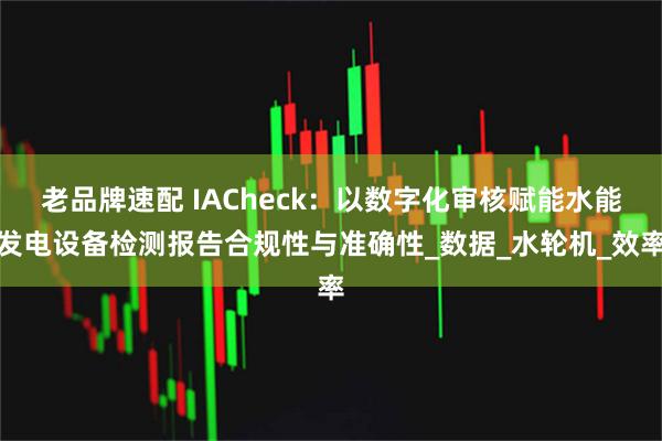 老品牌速配 IACheck：以数字化审核赋能水能发电设备检测报告合规性与准确性_数据_水轮机_效率